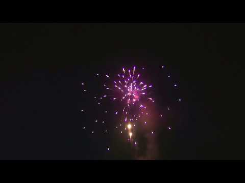 SCB3011 -  49s 30mm Lemon & Purple Dahlia