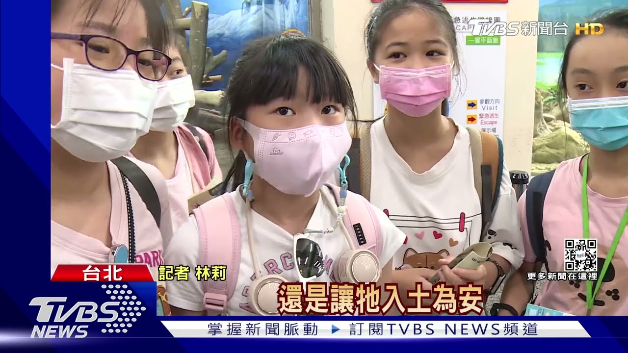 團團遺體做標本或掩埋熱議 動物園:參考民意