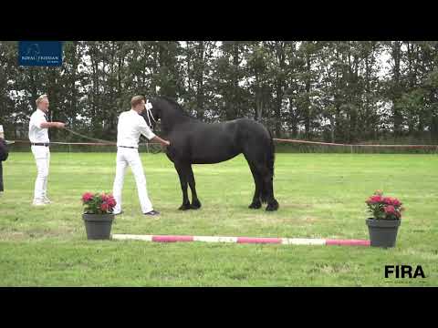 Locatiekeuring Stal fan de Kadyk 22-8-2020