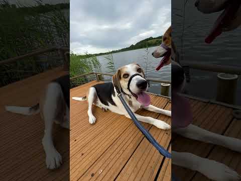 Adventures in Lough Major