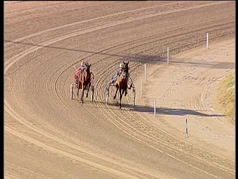 Trotto 07/12/2019 - prova di qualifica