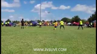 BEST Goals from the first 3 months of the Bownet Goal of the year contest