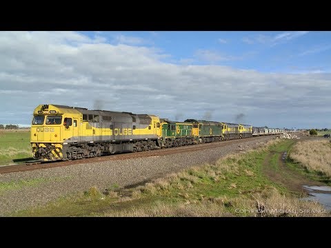 7MN1 QUBE Grain Train With Five Diesel Locomotives (28/7/2019) - PoathTV Australian Railways