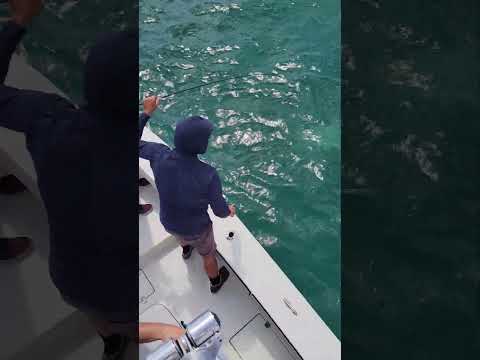 Shark Fishing New Smyrna Beach — New Short Clip