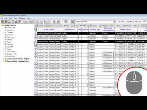 Comparing Results from Different Projects in Empower