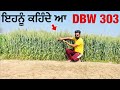 DBW 303 wheat variety review | ਇਸ ਕਣਕ ਦਾ ਕੱਦ ਦੇਖ ਮੈ ਵੀ ਹੈਰਾਨ