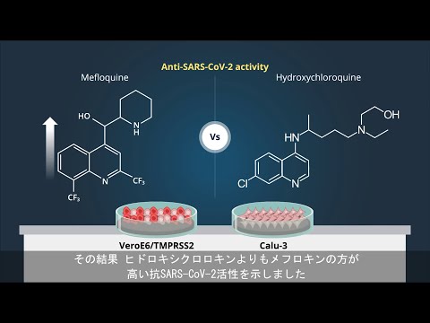抗マラリア薬メフロキンを新たなCOVID-19治療薬候補として同定