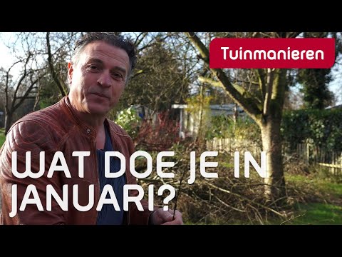 Wat doe je in de tuin in januari? - Winter