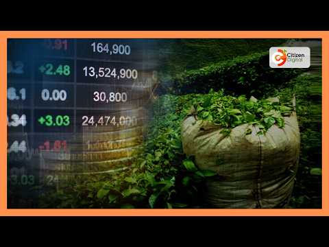 Sheria mpya ya sekta ya chai itadhibiti mawakala