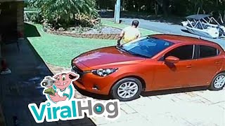 faze tari ramane fara barca