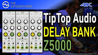 Video thumbnail for TipTop Audio Z5000 DELAY Effect Bank Sound Demo by Attila Hanak (Attila Hanak)