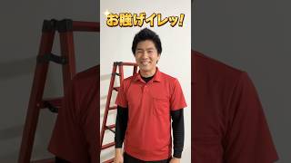 なんか、俺の持ってる赤い脚立とは色合いとか、フレームの大きさ違うんよなぁ（笑）