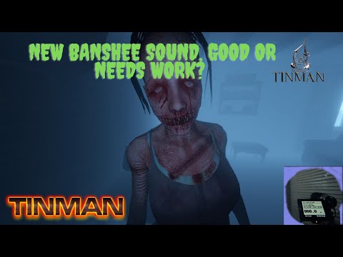 Steam Community :: Video :: Can you hear the Banshee solid or needs ...