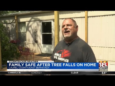 Storm Damage Cleanup - Tuesday, June 25, 2019 - 6 a.m.