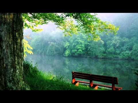 Chicane ft. Ferry Corsten ft. Christian Burns - One Thousand Suns