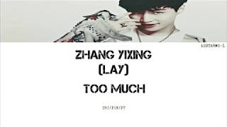 Lay (EXO) - Too Much (太多) (CHI/PIN/PT-BR)