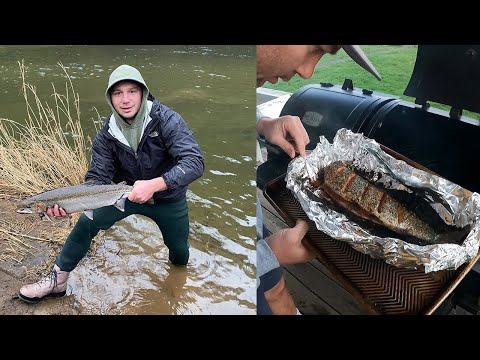 Just Caught My First Winter STEELHEAD Salmon in a Small River Catch n Cook