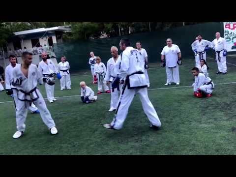 Master Alexandris- ITF Taekwon-Do Sparring Drills (Olympos 2017)