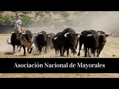 Asociación Nacional de Mayorales