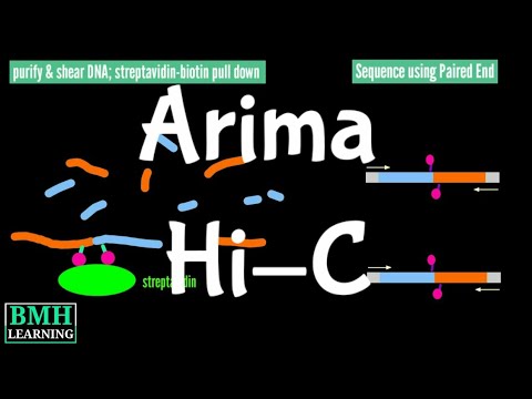 Arima Hi-C | Hi-C Method | Conformation Capture |
