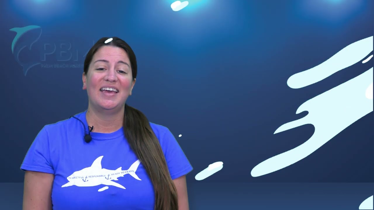 Elementary Student Handbook Updates