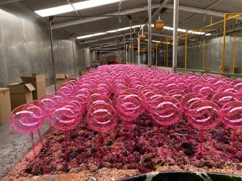 Las esferas son hechas a mano en Chignahuapan Puebla