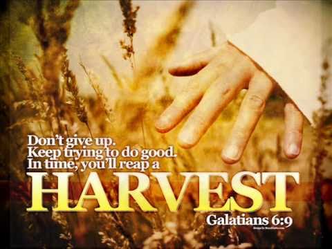 LET US NOT LOSE HEART by Kent Clifford Cooley