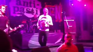 Anti Pasti - Two Years Too Late