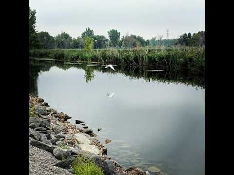 Poverty (feat. Shodi & Husbando Newport) [prod. Nujabes]