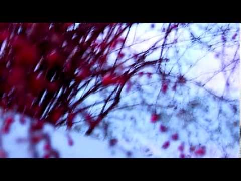 Giffen - A Winter's Prayer