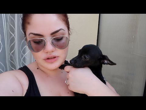 QUESTA NON CI VOLEVA! / vlog  / chiara paradisi