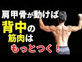 肩甲骨が動けば、背中の筋肉はもっとつく! ラットプルダウンで広背筋、大円筋を作るには肩甲骨の動きが重要だった! ワンハンドロウ トレーニング 筋トレ