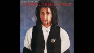 Terence Trent D&#39;Arby ‎– If You Let Me Stay (Extended Version) **HQ Audio**