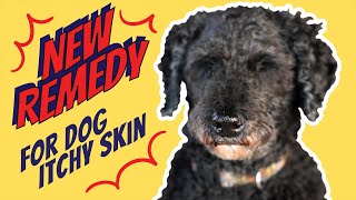 Dog Itchy Skin and Hot Spot Remedy