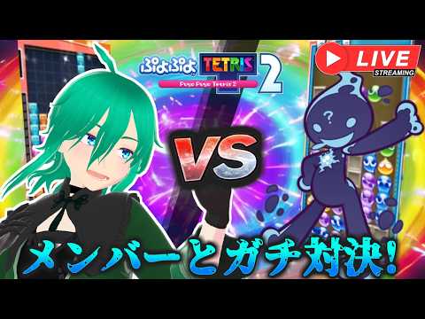 オトモダチとテトリス VS ぷよぷよ100本先取対決 #vtuber #shorts #テトリス #puzzle #ぷよぷよテトリス2