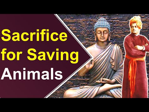 Buddha's Self-Sacrifice for Saving Animals -Swami Vivekananda Explains Compassionate Heart of Buddha