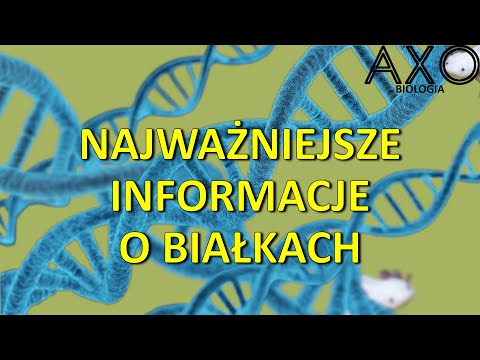 Przyczyną bólu w mięśniach ud Murzin podstawowy układ kulturystyka ćwiczenia