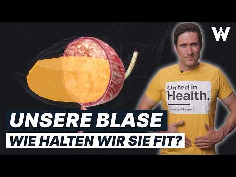 Unsere Blase: Funktion & Tipps für eine starke Harnblase! Typische Erkrankungen