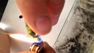 Gold Panda - India Lately [fan video]