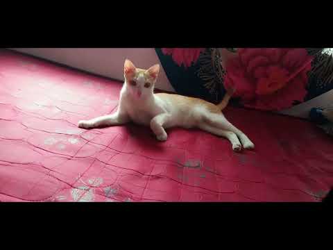 My lovely Brother and Sister 💖.