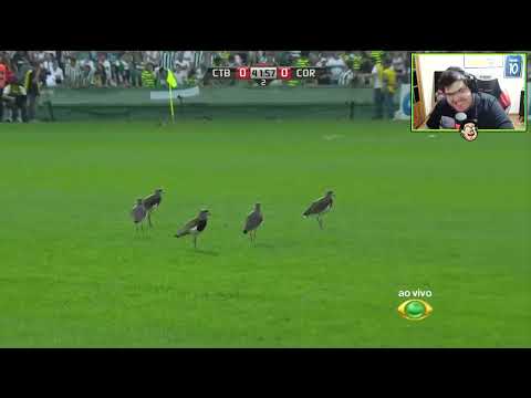 CASIMIRO REAGE: ".. CRAQUE NETO E OS QUERO QUERO " | Cortes da Roxinha