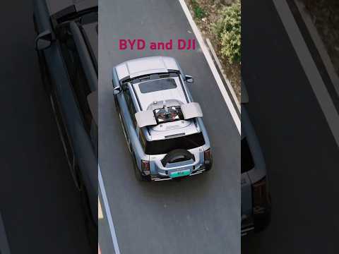 BYD & DJI Drone System