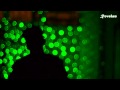 James Blake - I am Sold (Slowed Pitch Remix ...