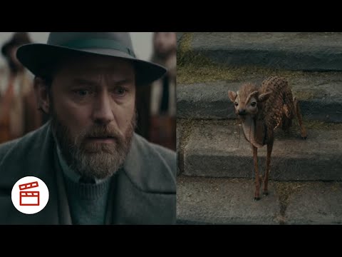 Fantastic Beasts and the Secrets of Dumbledore (2022) | Qilin Chooses Dumbledore | 4K HD Video