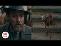 Fantastic Beasts And The Secrets Of Dumbledore 2022 Qilin Chooses Dumbledore 4K HD Video