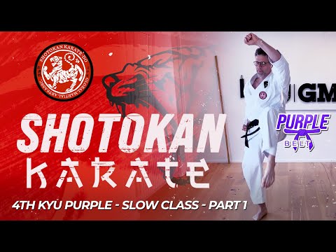 Shotokan Karate - 4th Kyu - Purple Belt - Slow Class (Part 1) thumbnail
