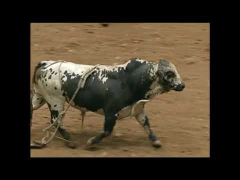 Jim Sharp vs Nose Dive - 96 PBR Charlotte (85 pts)