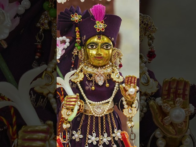 હરિકૃષ્ણ મહારાજ