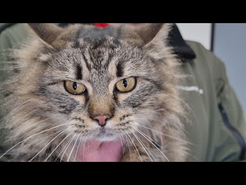 Přerovské aktuality - 16. 1. 2026