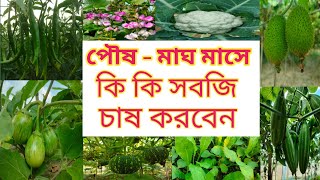 পৌষ ও মাঘ মাসে সবজি চাষে সুবিধা ও অসুবিধা